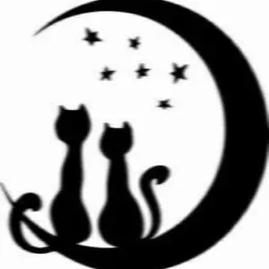 Stenska nalepka Luna