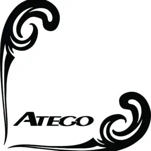 Nalepka 2X ATEGO - steklo #1