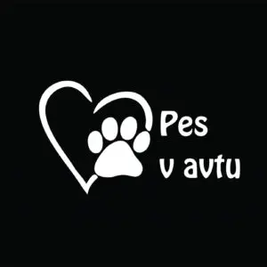 Nalepka otrok v avtu #26