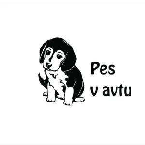 Nalepka otrok v avtu #27